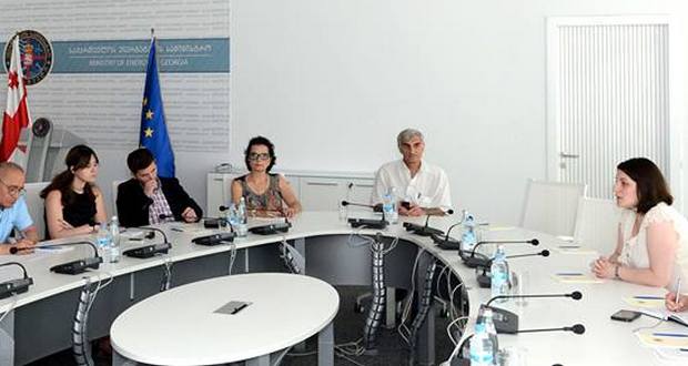 ენერგეტიკის მინისტრის მოადგილე არასამთავრობოებს შეხვდა