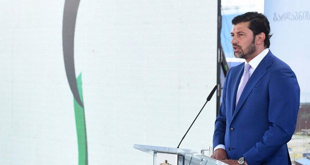 ჩვენ უნდა გვქონდეს განვითარებული და დივერსიფიცირებული ენერგო სექტორი