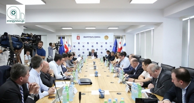 თბილისის მერიამ გარემოსდაცვითი სტრატეგია შეიმუშავა