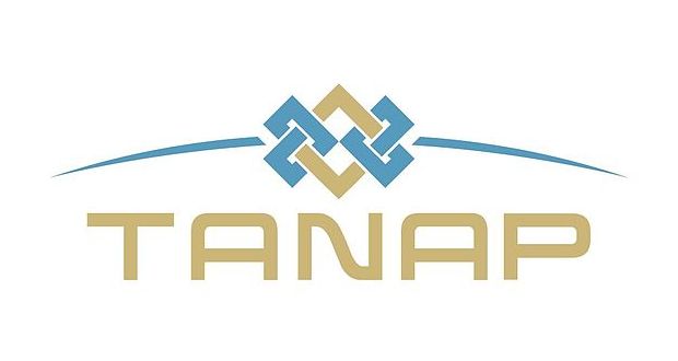 TANAP ის პროექტი დაიწყო